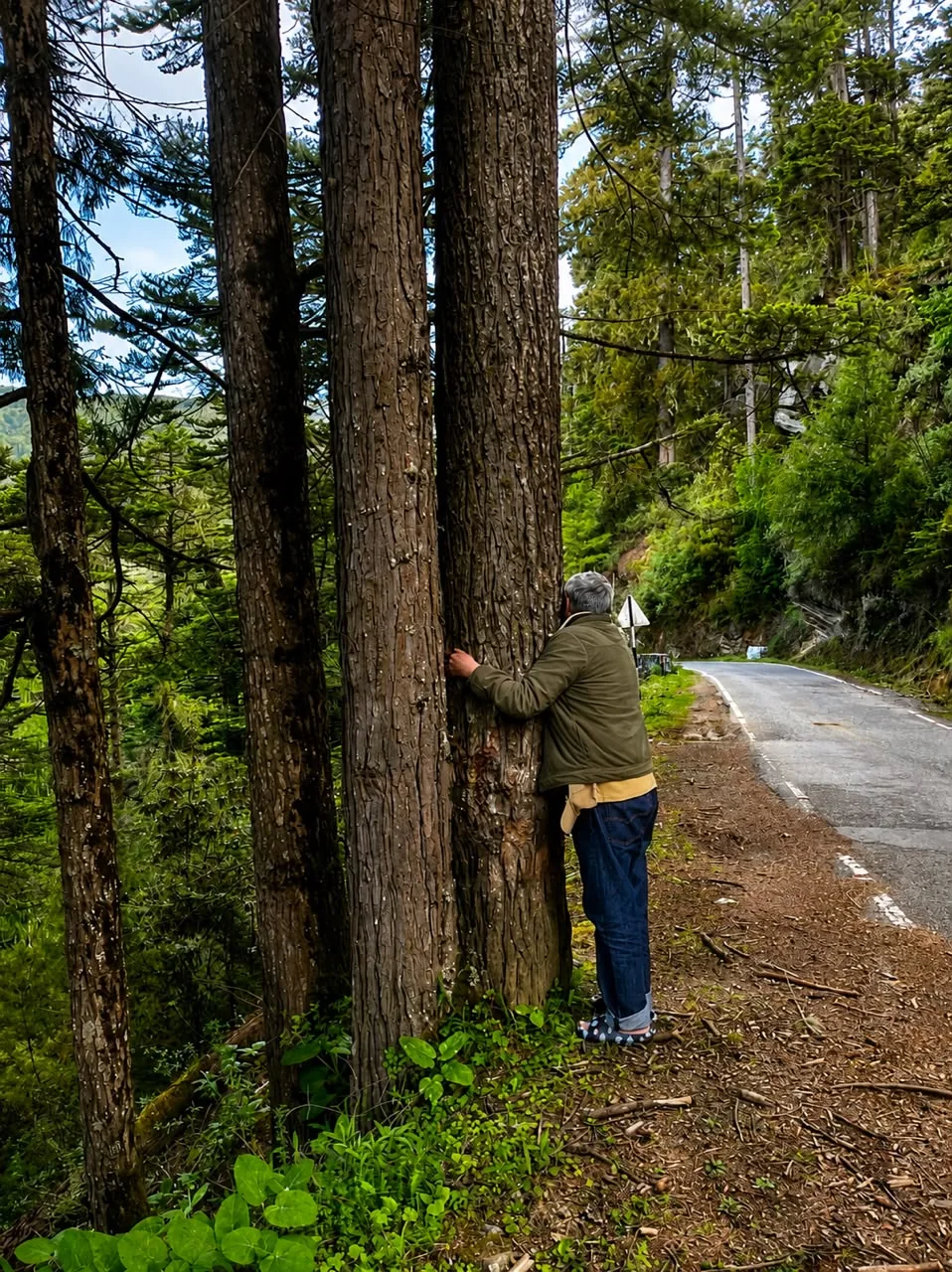 Daniel’s father emotionally embracing a large tree in Bhutan